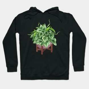 Peperomia argyreia watermelon Hoodie